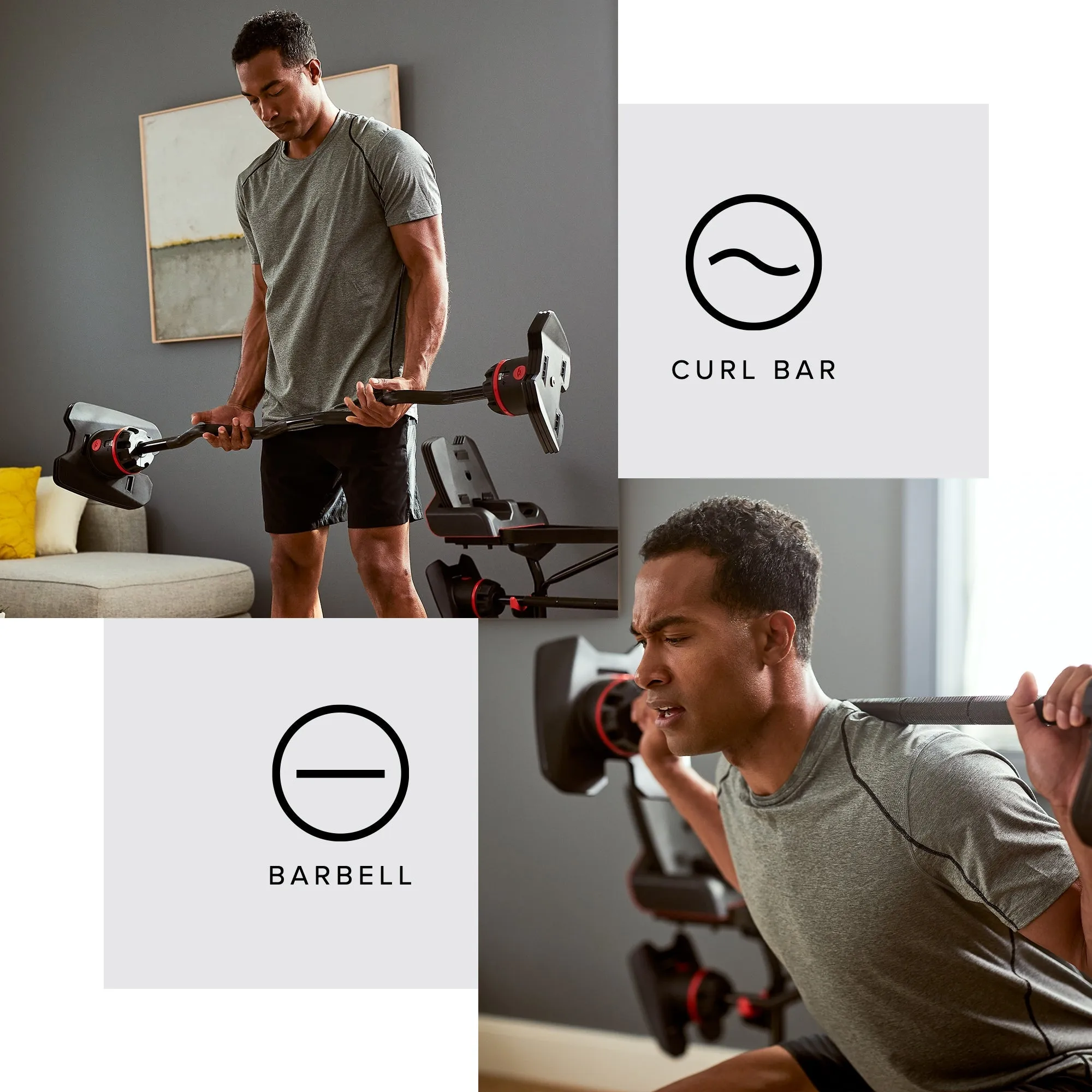 Bowflex Selecttech 2080 Barbell - With Curl Bar (20 - 80 LB)