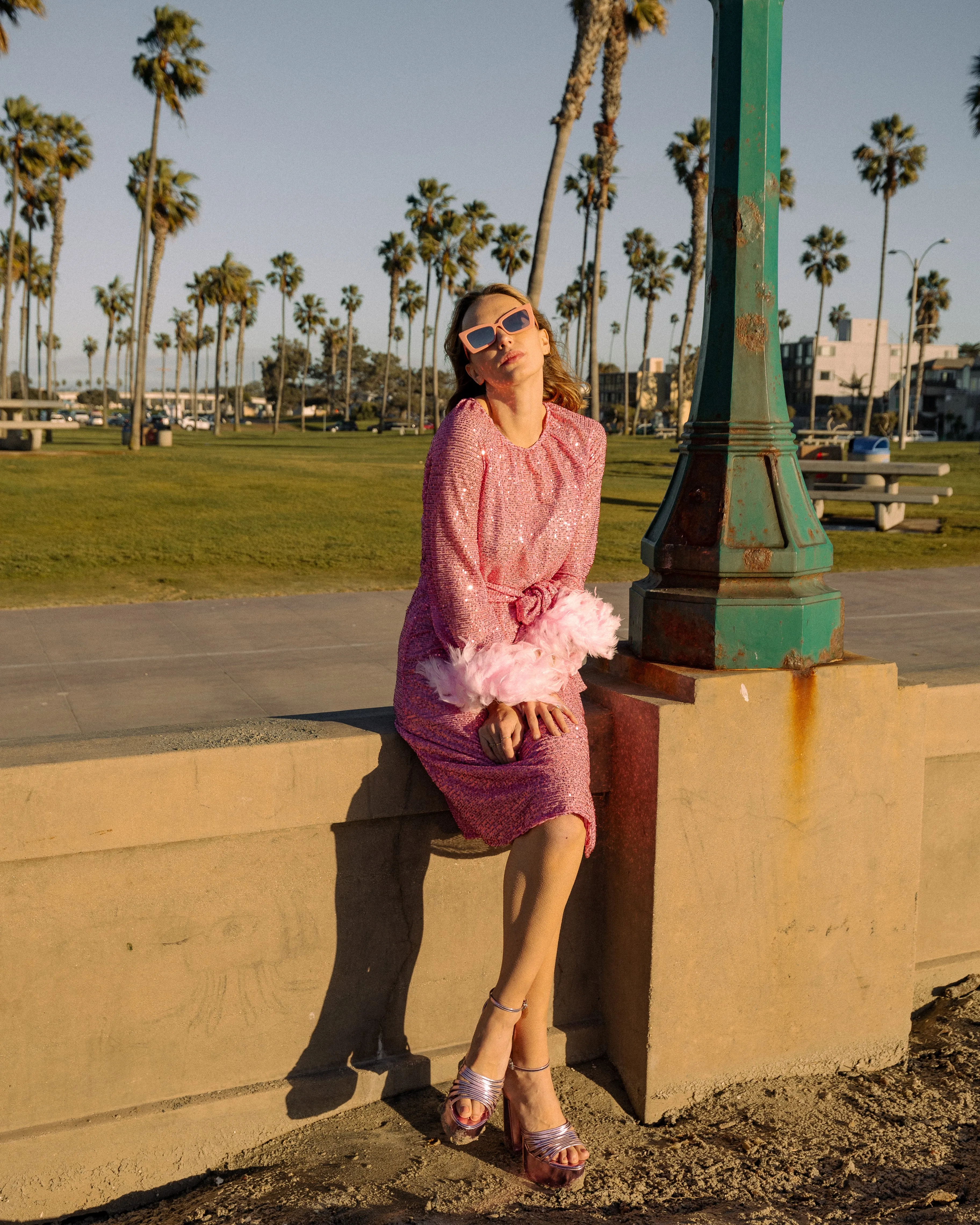 Flamingo Sequin Raglan Dress