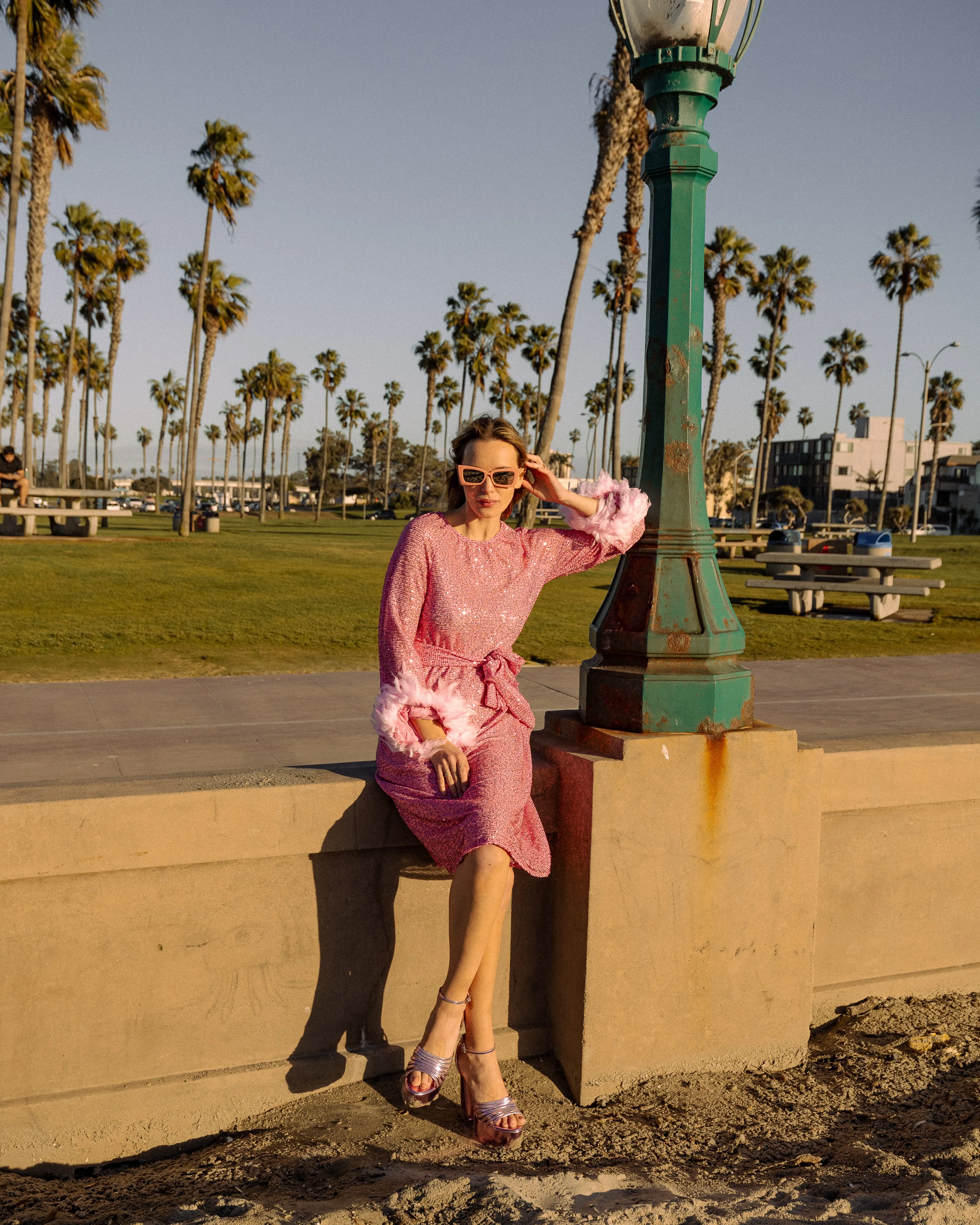 Flamingo Sequin Raglan Dress