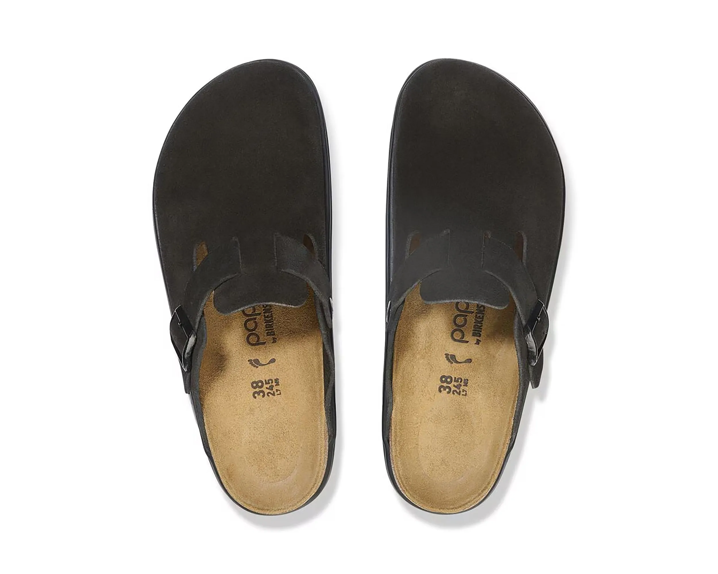 Unisex Boston Pap Chunky